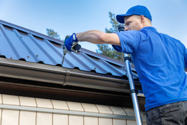 Best Roof Moss and Algae Removal  in Gorevle, IL