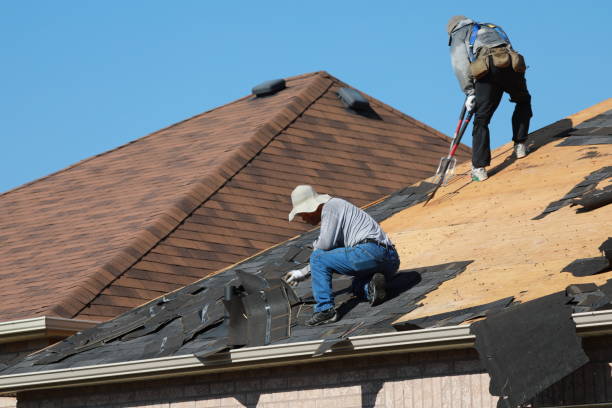Best Roof Insulation Installation  in Gorevle, IL