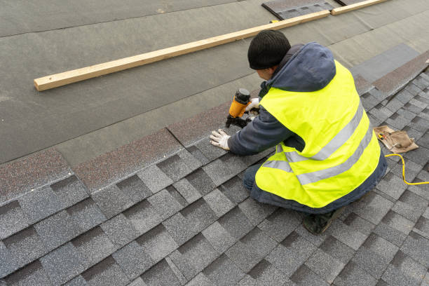 Best Chimney Flashing Repair  in Gorevle, IL