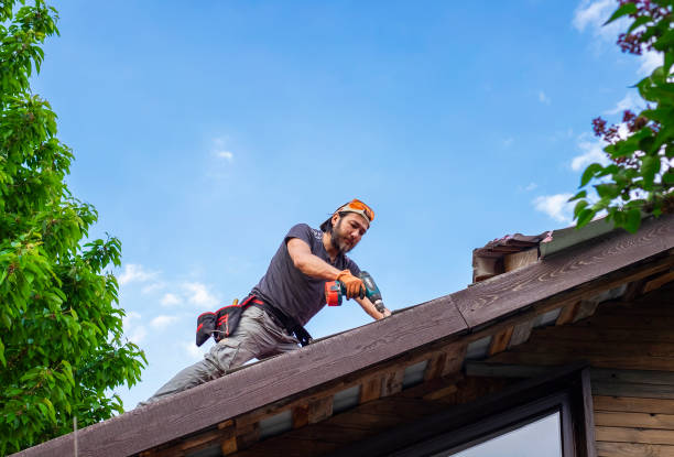 Best Metal Roofing Installation  in Gorevle, IL