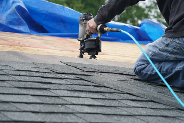Best Roof Insulation Installation  in Gorevle, IL